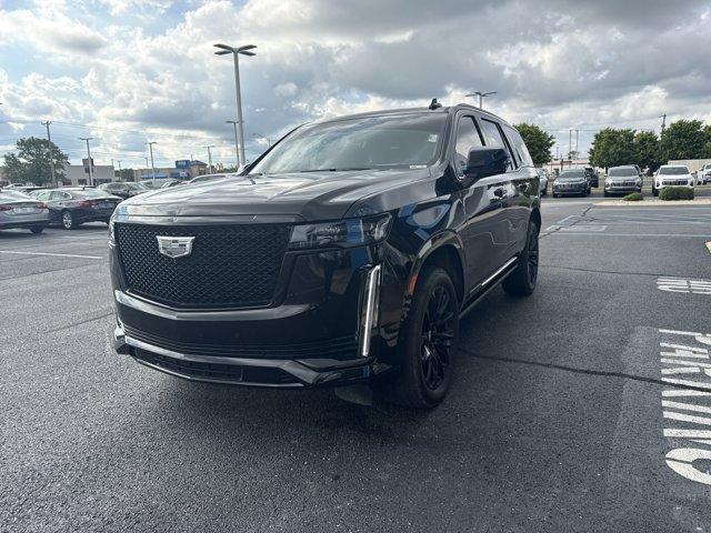 used 2024 Cadillac Escalade car