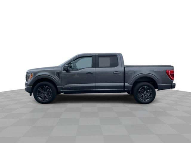 used 2023 Ford F-150 car, priced at $45,500