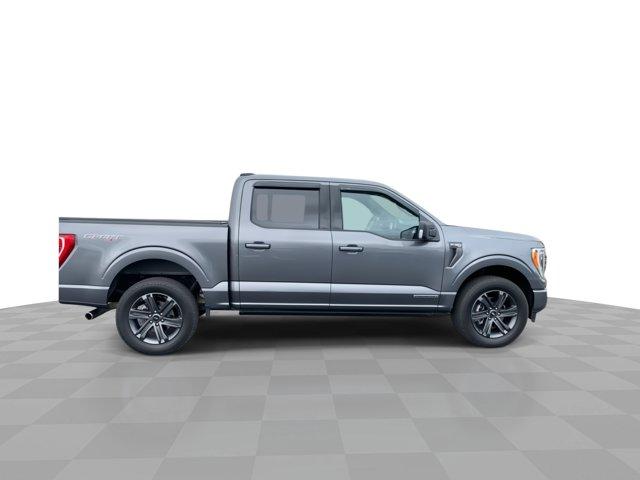 used 2023 Ford F-150 car, priced at $45,500