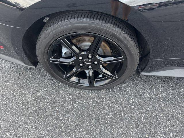 used 2019 Ford Mustang car, priced at $32,000