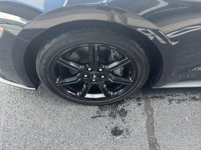 used 2019 Ford Mustang car, priced at $32,000