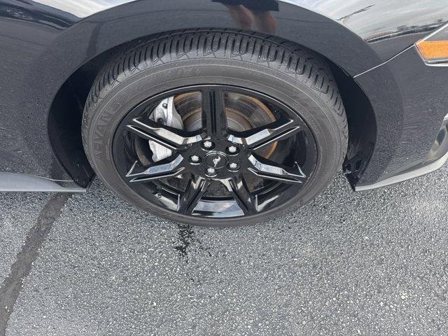 used 2019 Ford Mustang car, priced at $32,000