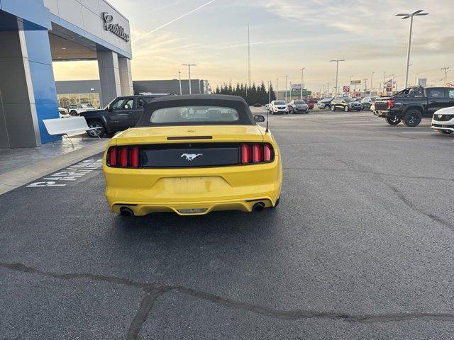 used 2015 Ford Mustang car, priced at $14,000