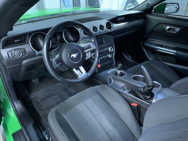 used 2019 Ford Mustang car, priced at $29,500