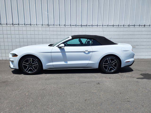 used 2023 Ford Mustang car, priced at $33,650