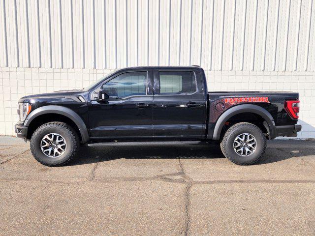 used 2023 Ford F-150 car