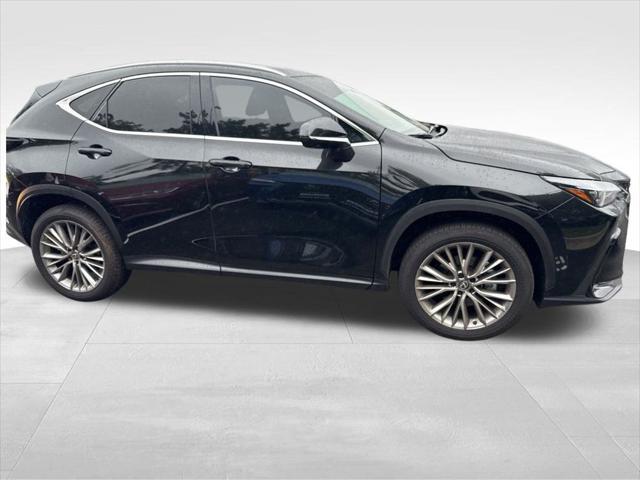 used 2025 Lexus NX 350 car
