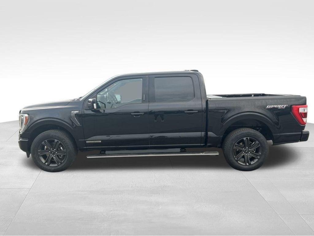 used 2023 Ford F-150 car, priced at $48,987