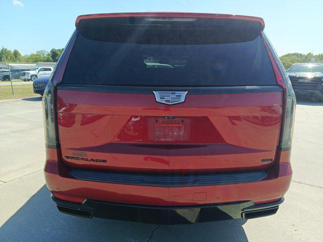 used 2021 Cadillac Escalade car