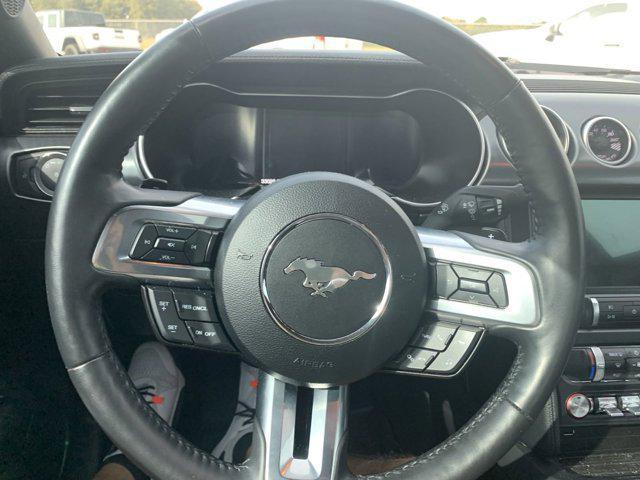 used 2022 Ford Mustang car