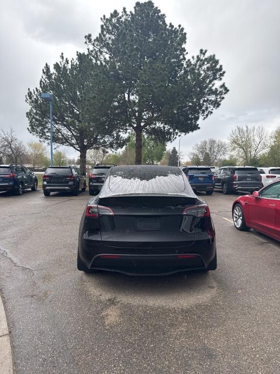 used 2024 Tesla Model Y car, priced at $38,335