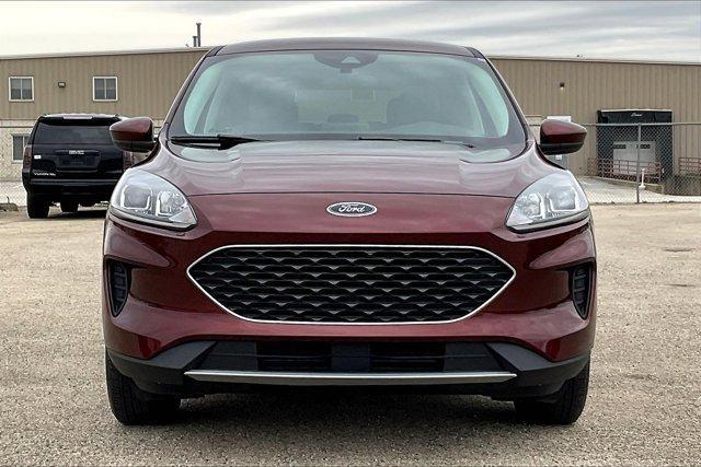 used 2021 Ford Escape car, priced at $20,998