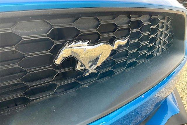 used 2019 Ford Mustang car, priced at $17,891