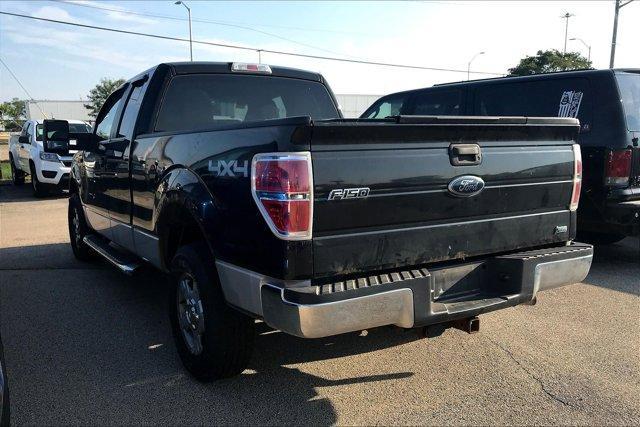 used 2010 Ford F-150 car