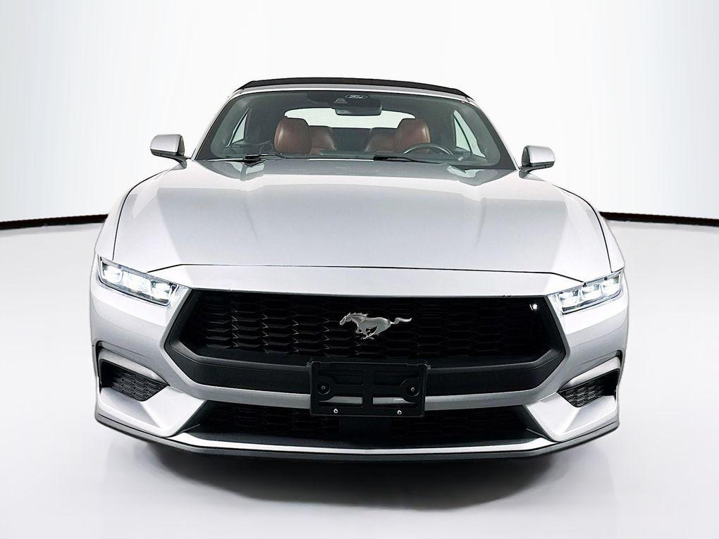 used 2024 Ford Mustang car, priced at $32,200
