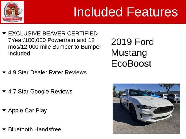 used 2019 Ford Mustang car, priced at $19,000