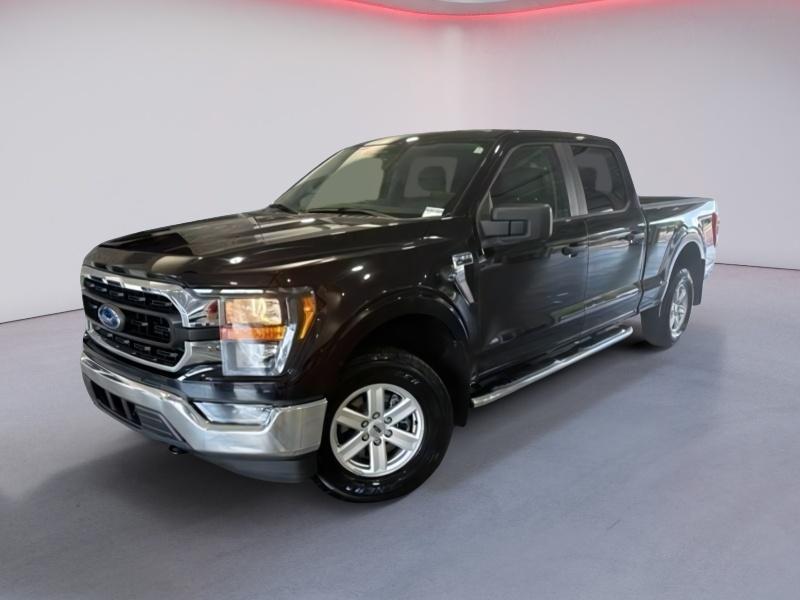 used 2023 Ford F-150 car, priced at $39,000