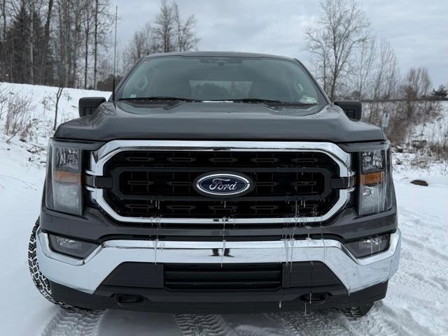 used 2023 Ford F-150 car