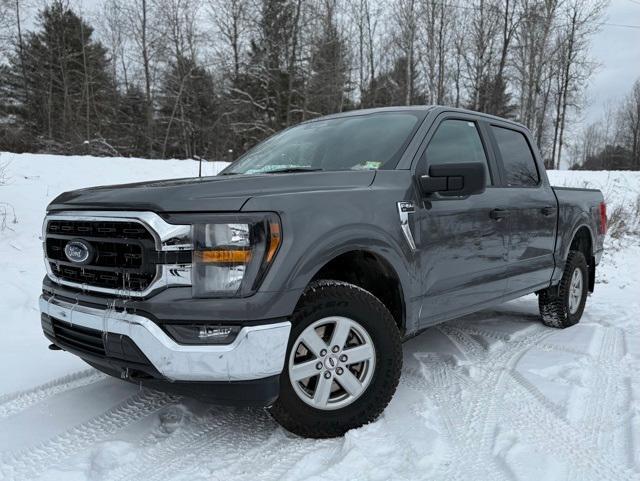 used 2023 Ford F-150 car