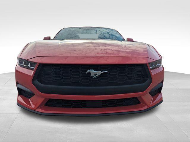used 2024 Ford Mustang car, priced at $31,899
