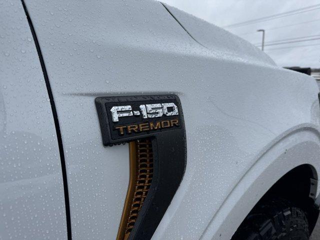 new 2025 Ford F-150 car, priced at $73,875