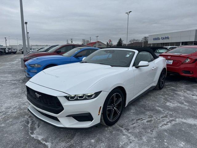 used 2024 Ford Mustang car, priced at $33,995