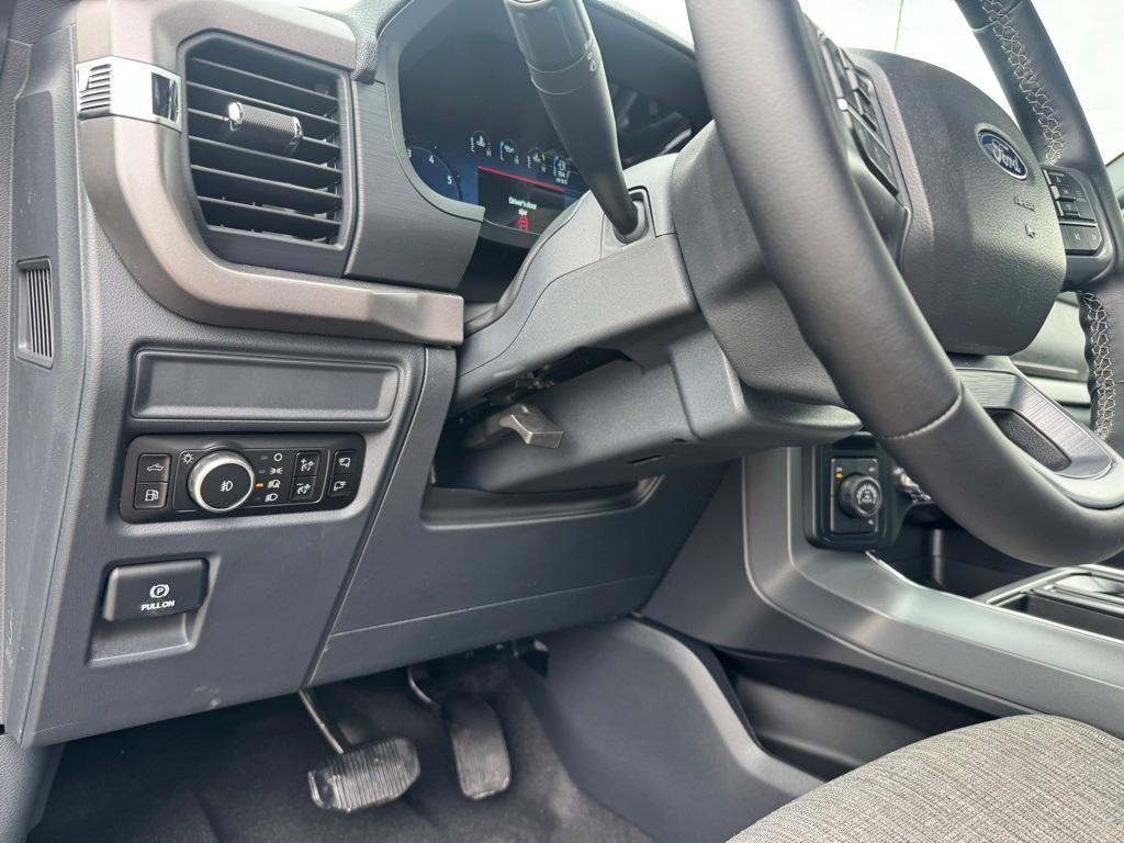 new 2025 Ford F-150 car