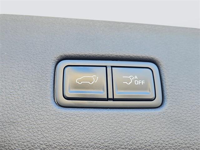 used 2025 Kia Carnival car, priced at $47,987