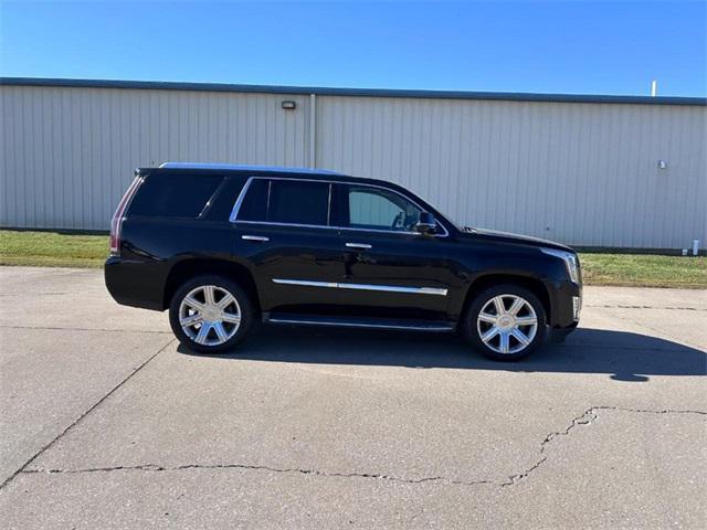 used 2015 Cadillac Escalade car, priced at $21,000