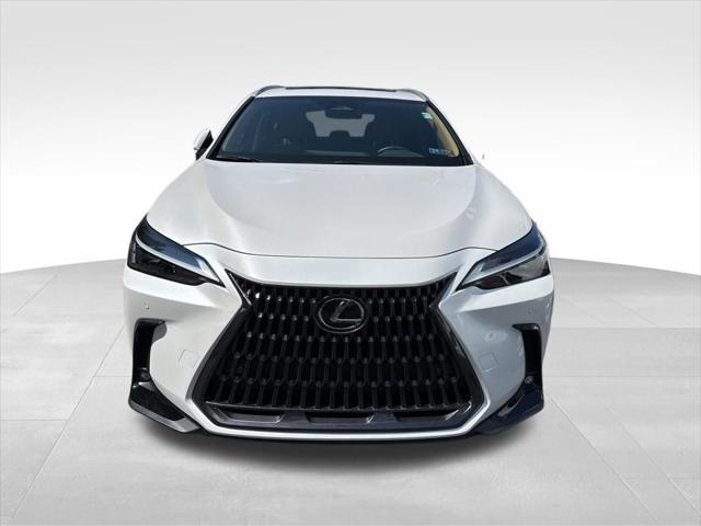 used 2025 Lexus NX 350 car