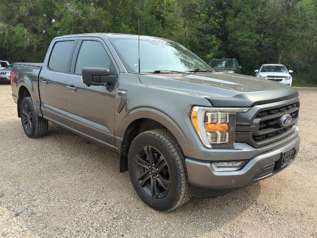 used 2021 Ford F-150 car, priced at $30,500