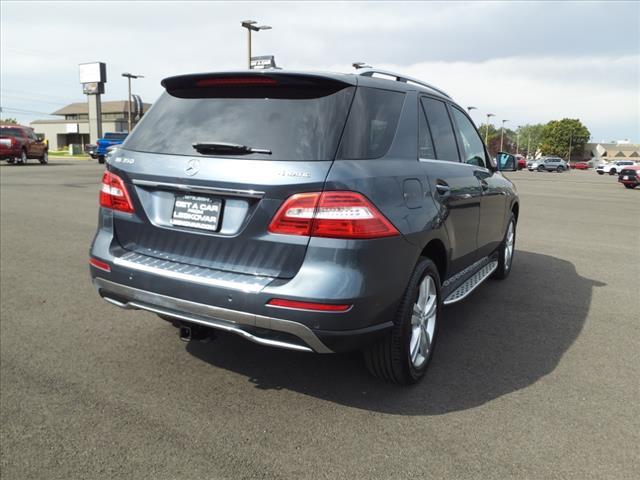 used 2013 Mercedes-Benz M-Class car, priced at $10,000