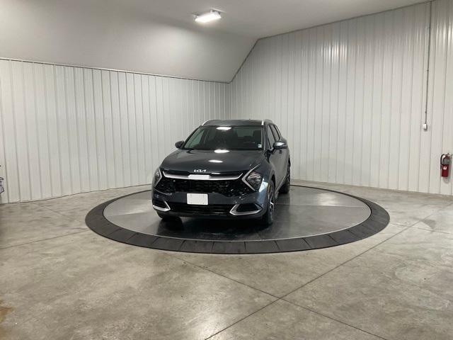 used 2023 Kia Sportage Hybrid car