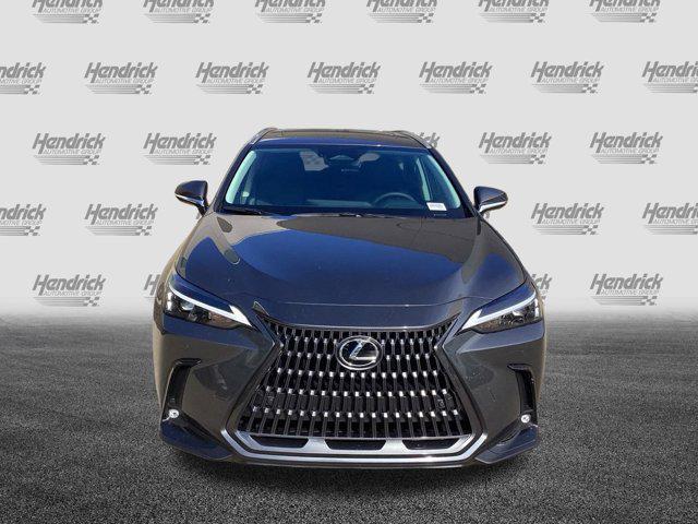 new 2025 Lexus NX 350 car, priced at $51,635