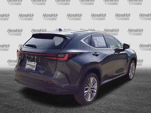 new 2025 Lexus NX 350 car, priced at $51,635