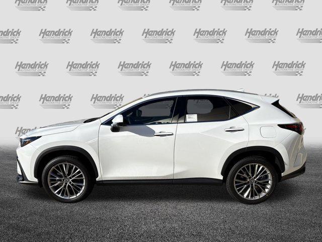 new 2026 Lexus NX 350 car, priced at $53,125