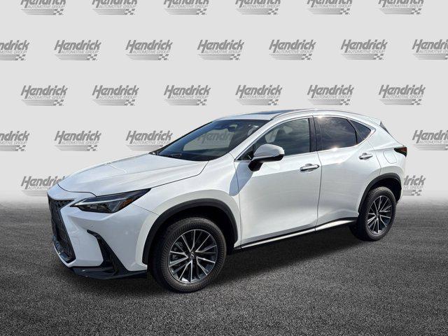 used 2025 Lexus NX 350 car, priced at $46,490
