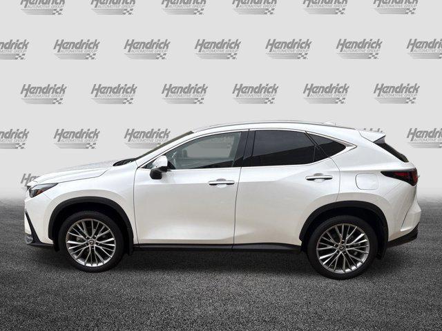 used 2025 Lexus NX 350 car, priced at $46,074