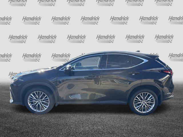 used 2025 Lexus NX 350 car, priced at $52,869