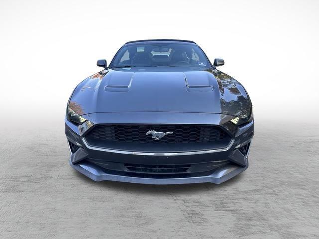 used 2019 Ford Mustang car, priced at $19,995