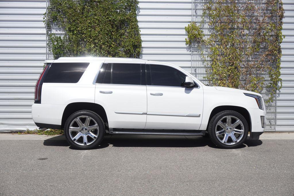 used 2017 Cadillac Escalade car, priced at $28,000