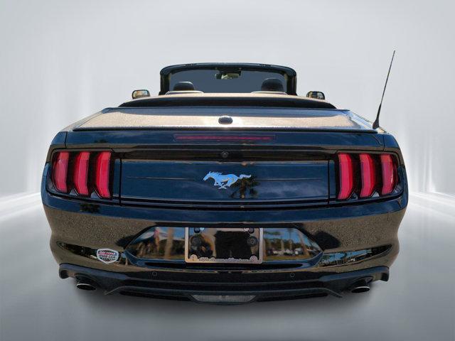 used 2023 Ford Mustang car, priced at $28,447