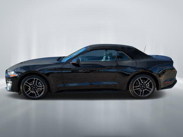 used 2023 Ford Mustang car, priced at $28,447