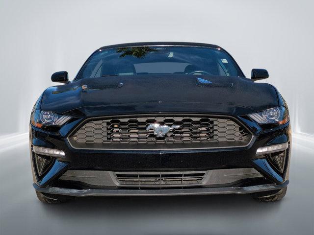 used 2023 Ford Mustang car, priced at $28,447