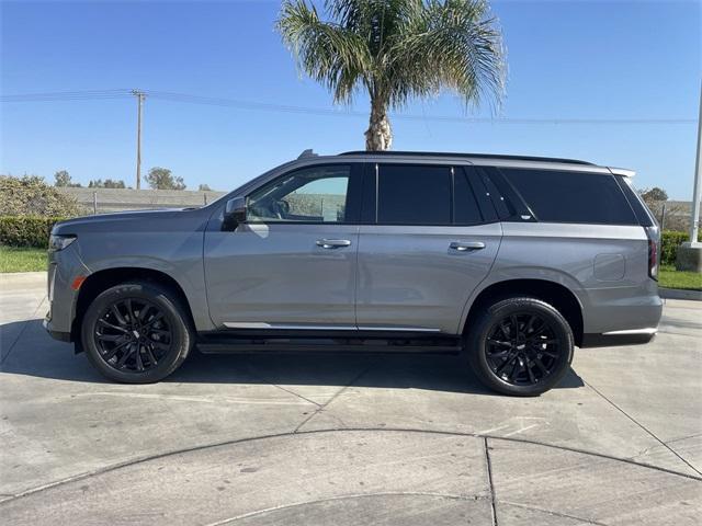 used 2021 Cadillac Escalade car
