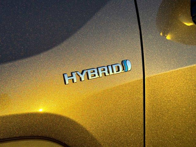 used 2020 Toyota RAV4 car, priced at $24,904