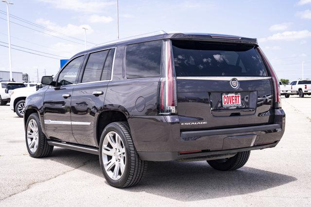 used 2015 Cadillac Escalade car, priced at $24,507