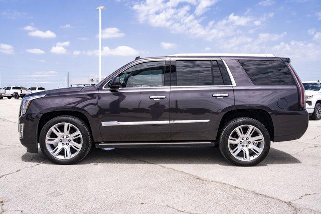 used 2015 Cadillac Escalade car, priced at $24,507