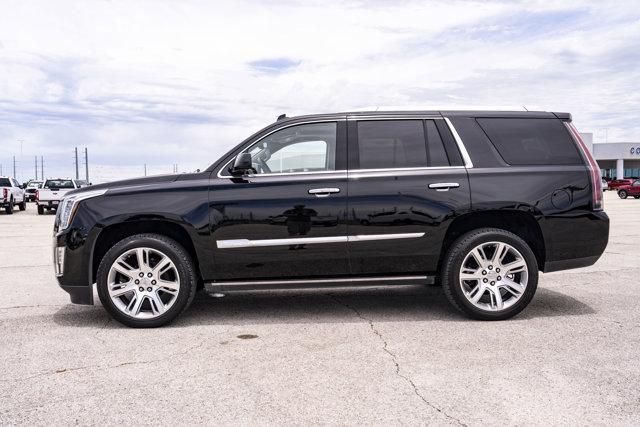 used 2015 Cadillac Escalade car, priced at $24,714