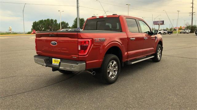 used 2023 Ford F-150 car, priced at $47,817